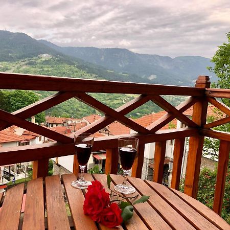 Apostolos Hotel Metsovo Buitenkant foto