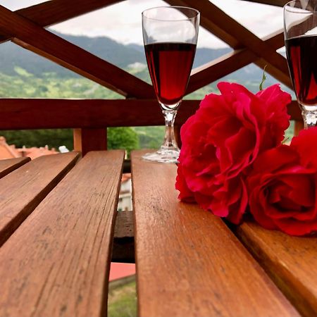 Apostolos Hotel Metsovo Buitenkant foto