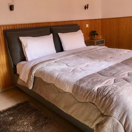 Apostolos Hotel Metsovo Buitenkant foto
