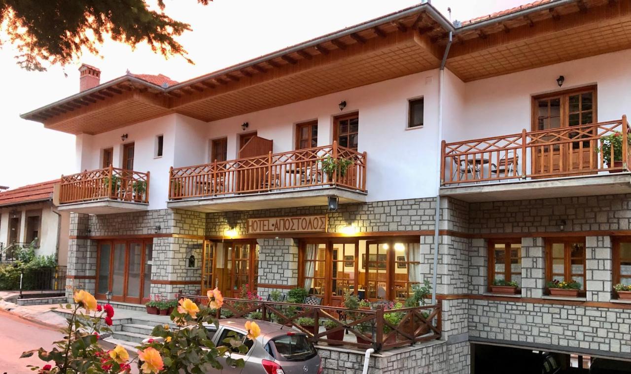 Apostolos Hotel Metsovo Buitenkant foto
