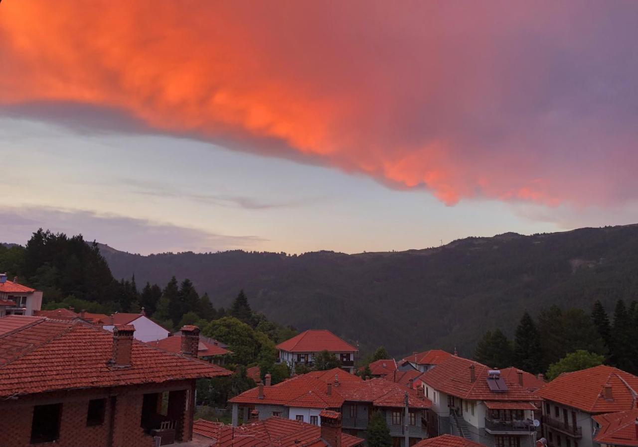 Apostolos Hotel Metsovo Buitenkant foto