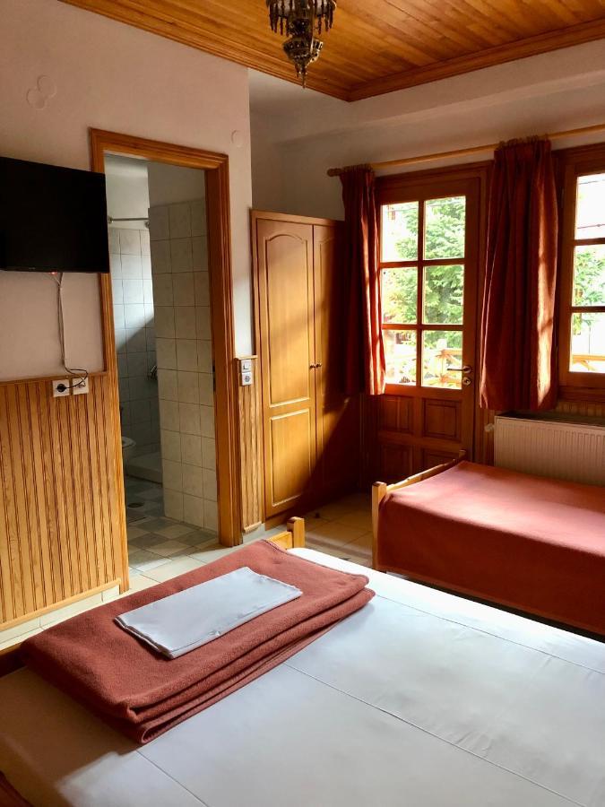 Apostolos Hotel Metsovo Buitenkant foto