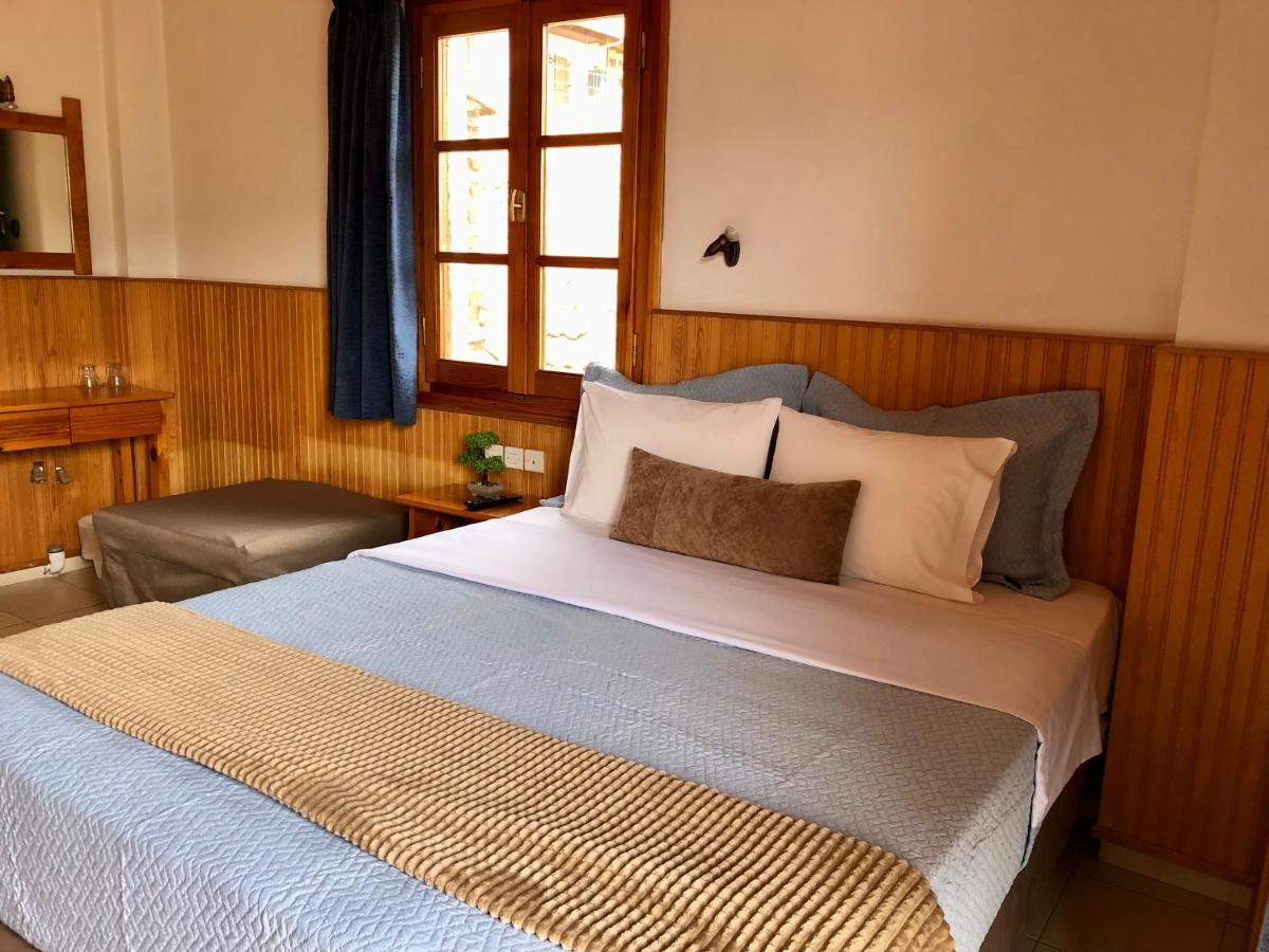 Apostolos Hotel Metsovo Buitenkant foto