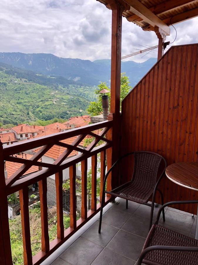 Apostolos Hotel Metsovo Buitenkant foto