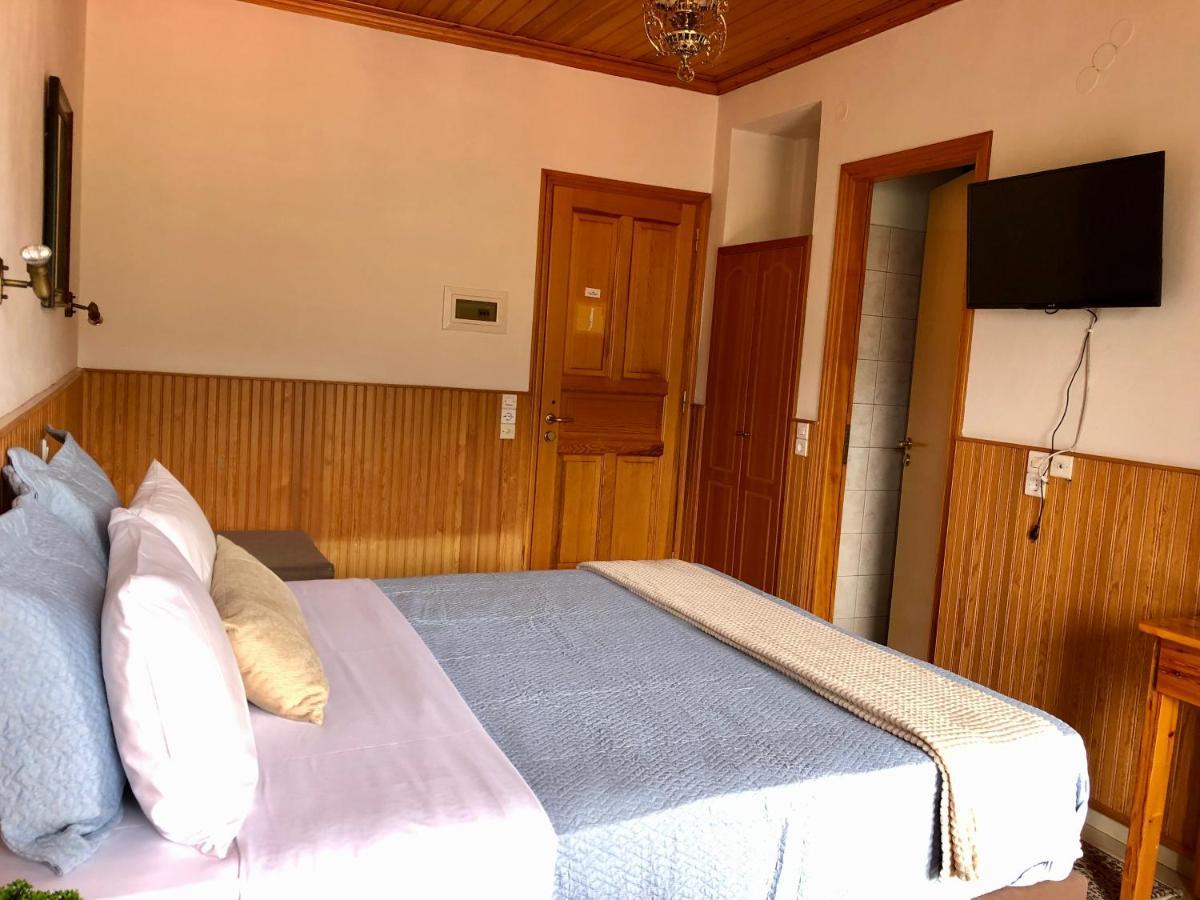 Apostolos Hotel Metsovo Buitenkant foto