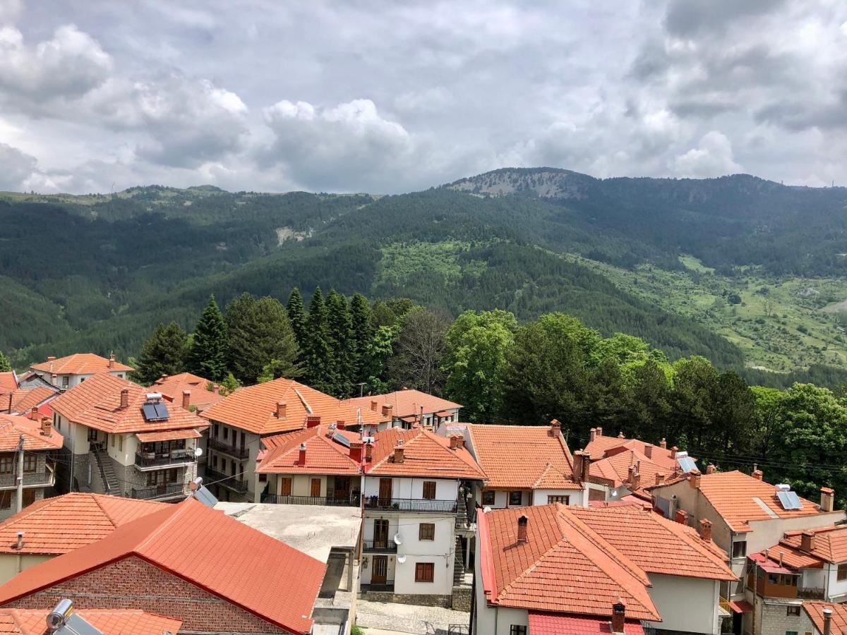 Apostolos Hotel Metsovo Buitenkant foto