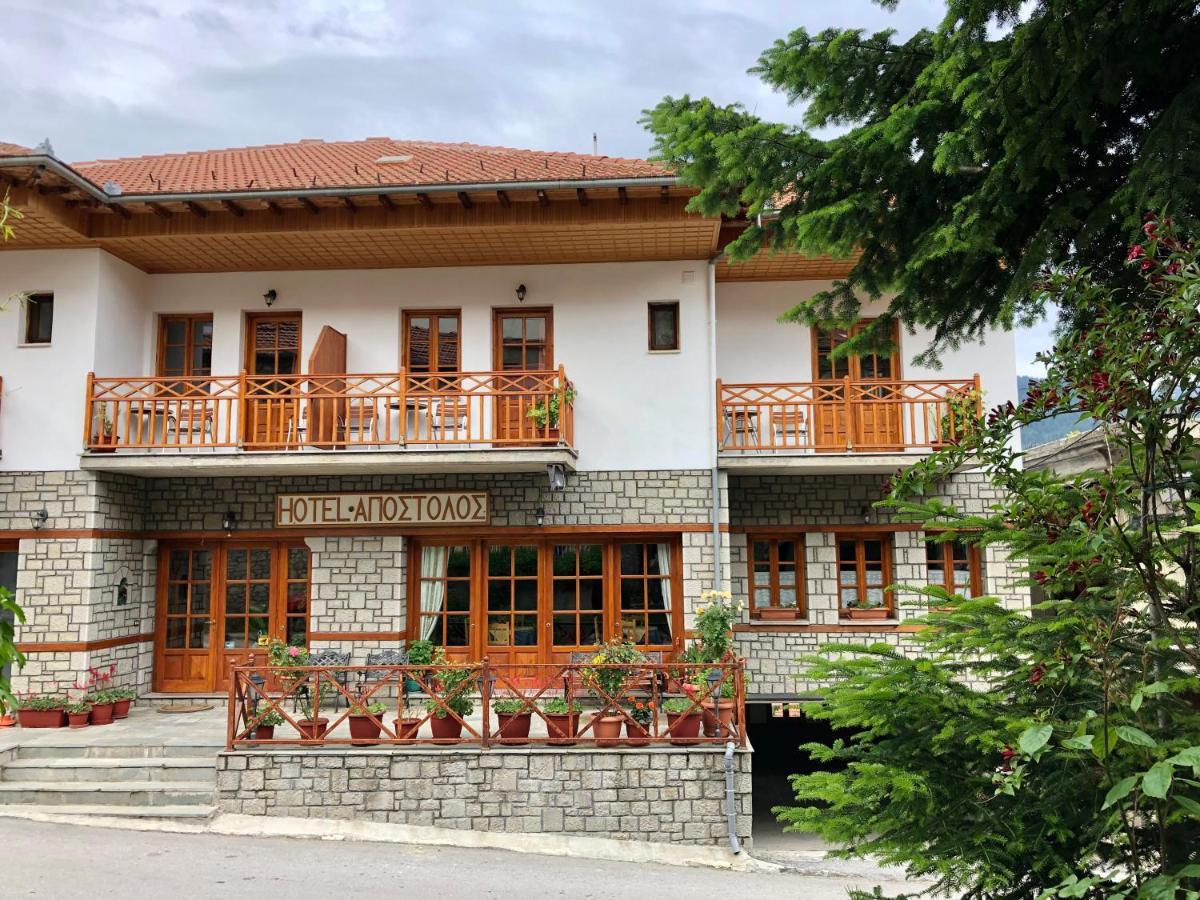 Apostolos Hotel Metsovo Buitenkant foto