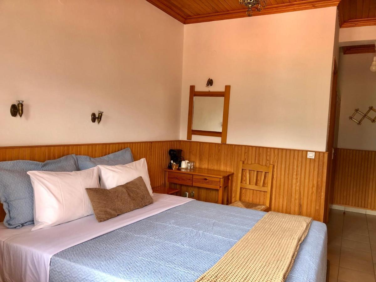 Apostolos Hotel Metsovo Buitenkant foto