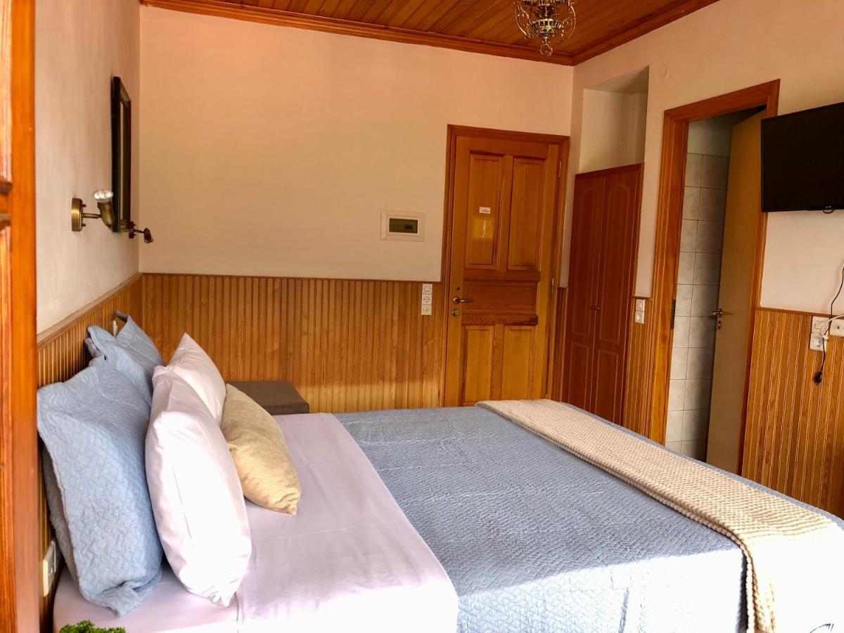 Apostolos Hotel Metsovo Buitenkant foto