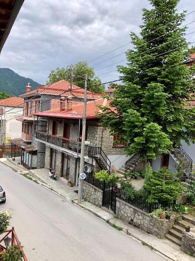 Apostolos Hotel Metsovo Buitenkant foto