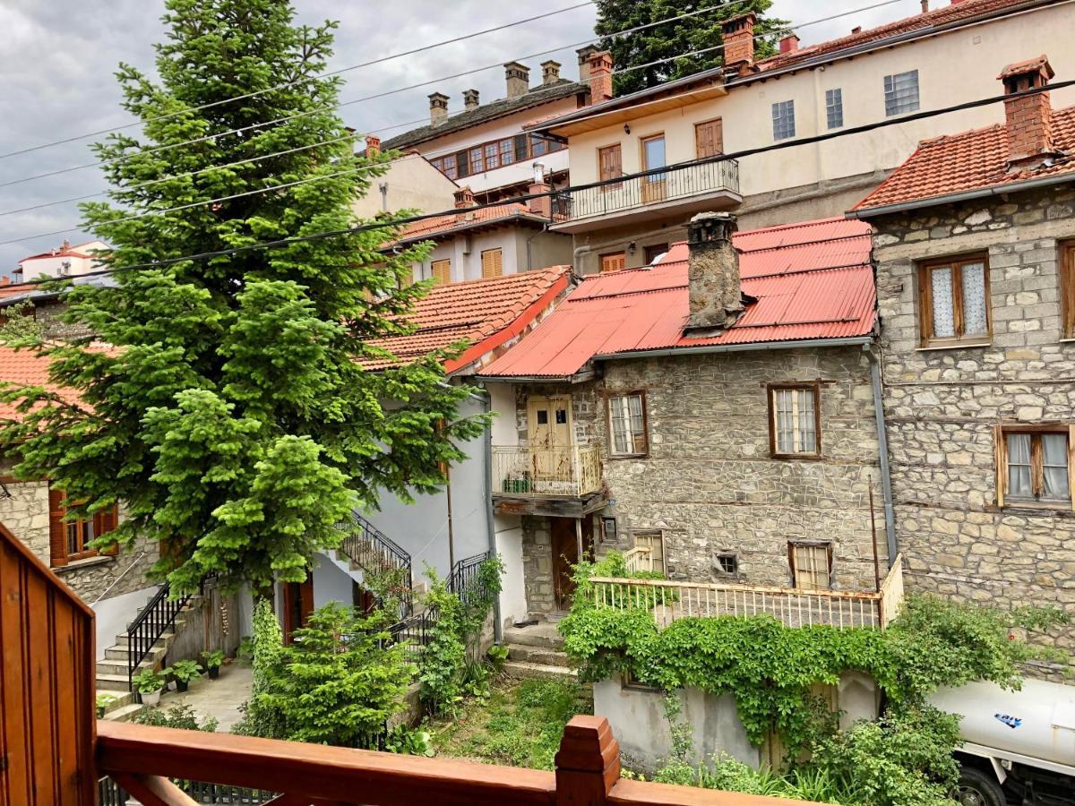 Apostolos Hotel Metsovo Buitenkant foto
