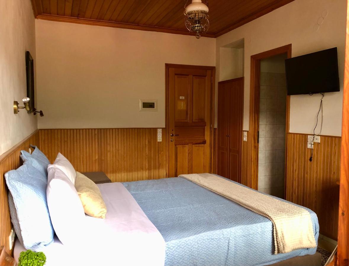 Apostolos Hotel Metsovo Buitenkant foto