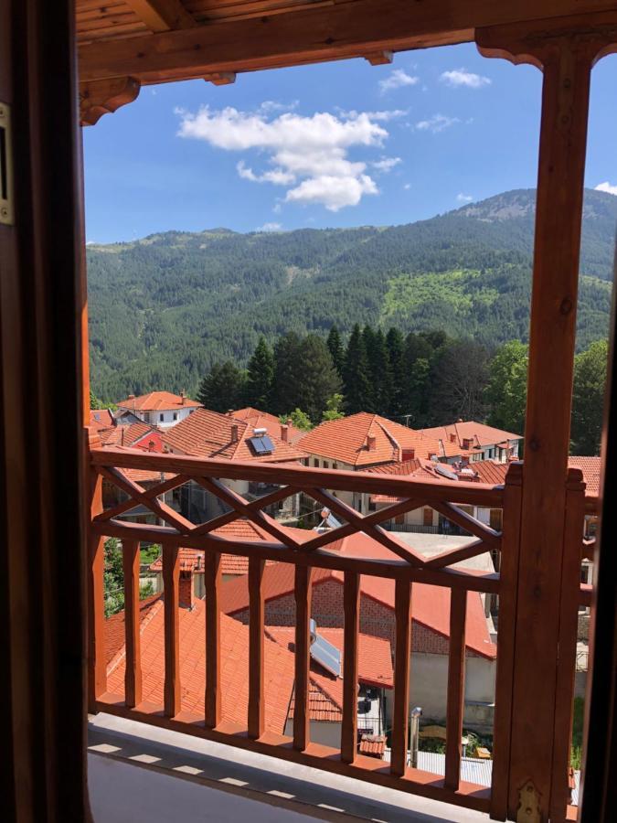 Apostolos Hotel Metsovo Buitenkant foto