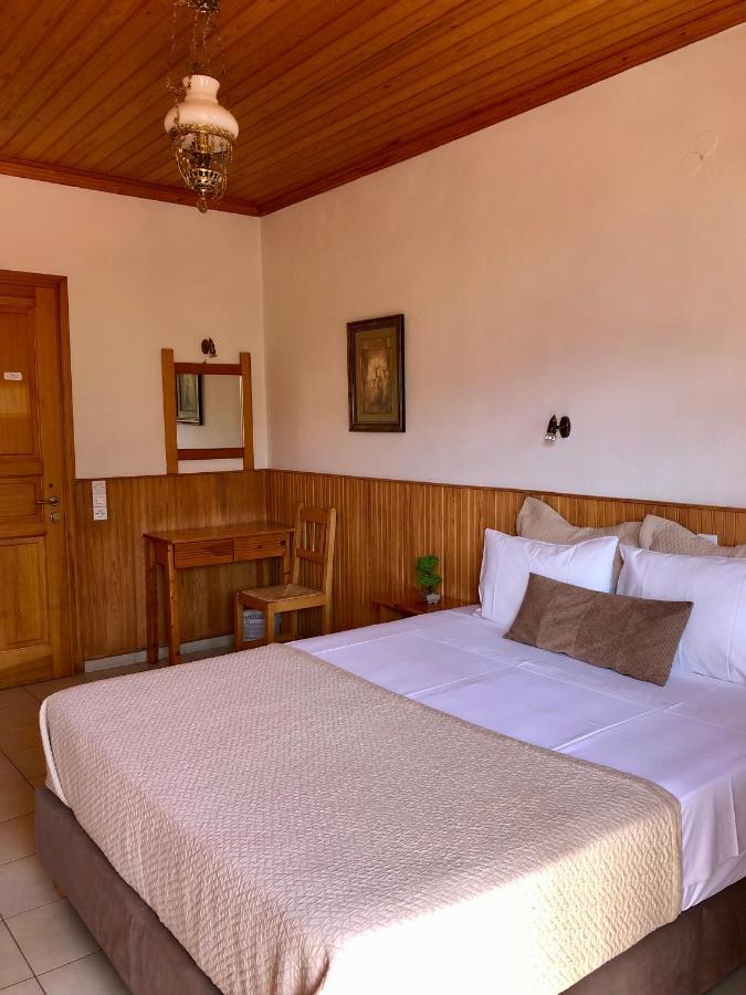 Apostolos Hotel Metsovo Buitenkant foto