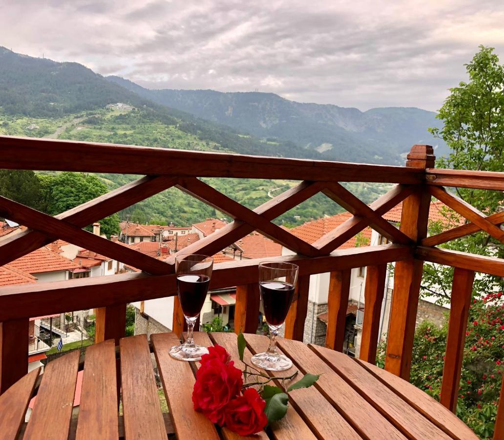 Apostolos Hotel Metsovo Buitenkant foto