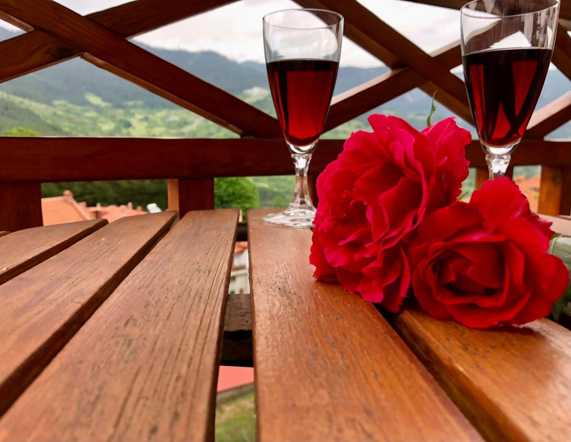 Apostolos Hotel Metsovo Buitenkant foto