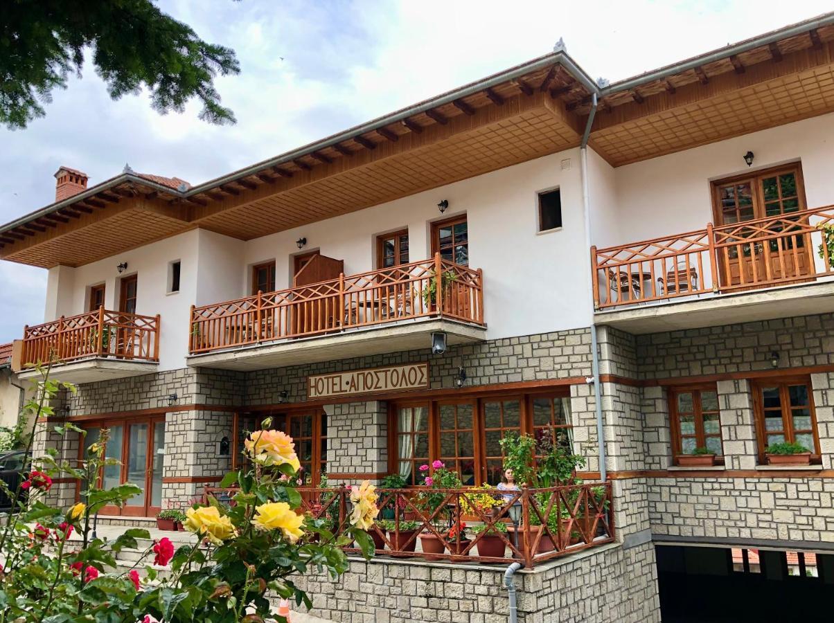 Apostolos Hotel Metsovo Buitenkant foto