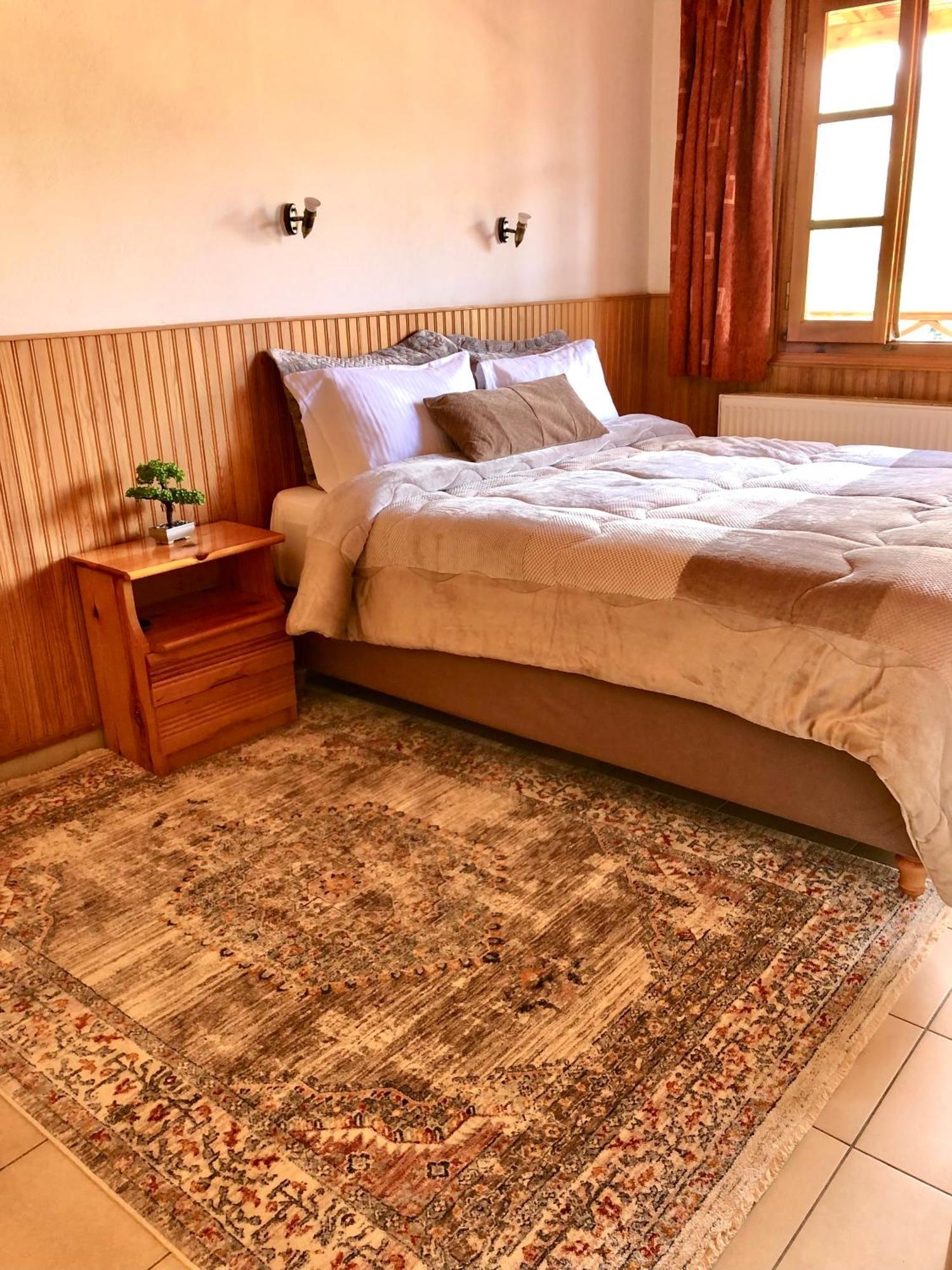 Apostolos Hotel Metsovo Buitenkant foto